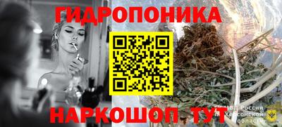 винт Будённовск